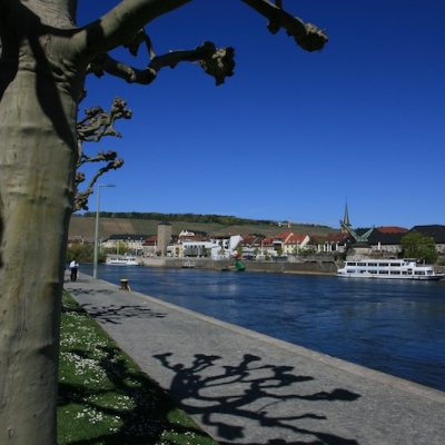 Koorreis Wurzburg 2011