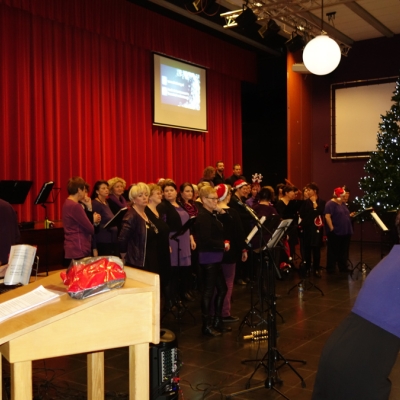 Thirdwing Meets the World